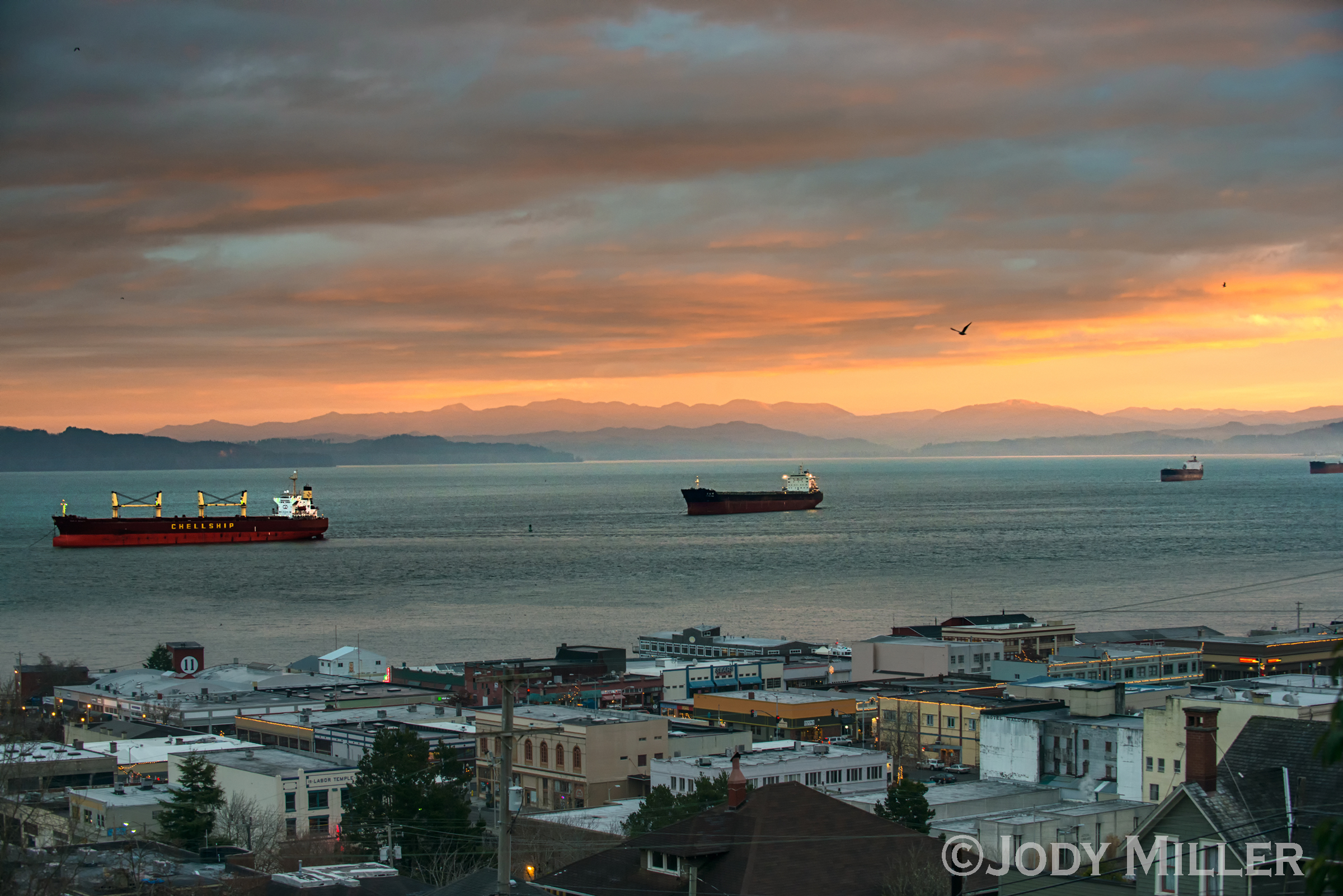 Ongoing Projects in Astoria